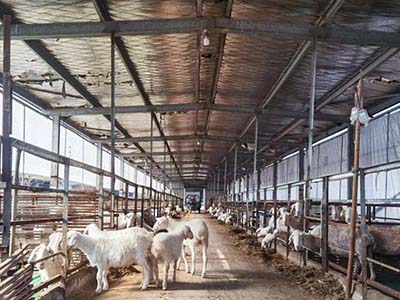 1680508468.jpg 未标题-1_0023_微信图片_20230403154129.jpg