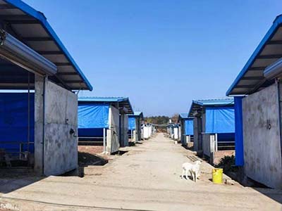 1680508534.jpg 未标题-1_0022_微信图片_20230403154134.jpg