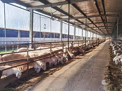 1680508604.jpg 未标题-1_0021_微信图片_20230403154138.jpg