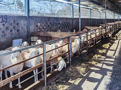 1680508665.jpg 未标题-1_0020_微信图片_20230403154143.jpg