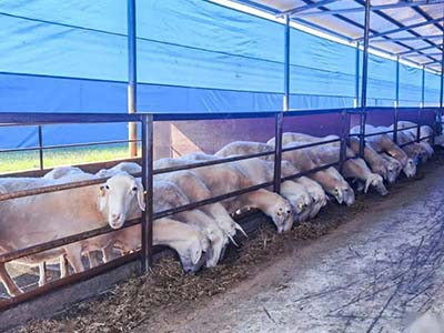 1680508680.jpg 未标题-1_0019_微信图片_20230403154152.jpg