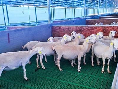 1680508695.jpg 未标题-1_0018_微信图片_20230403154155.jpg