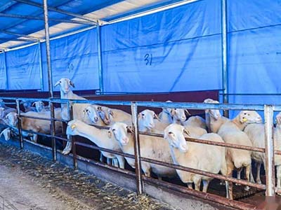 1680508784.jpg 未标题-1_0017_微信图片_20230403154159.jpg