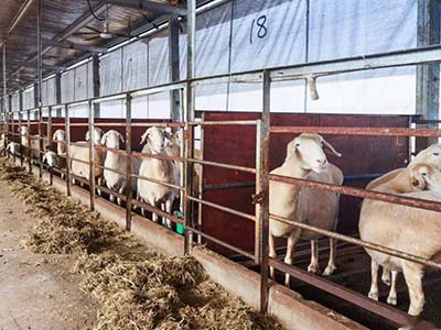 1680508798.jpg 未标题-1_0015_微信图片_20230403154209.jpg