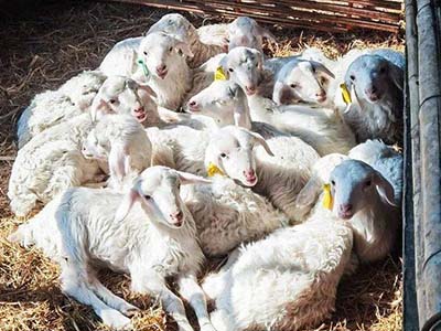 1680508811.jpg 未标题-1_0002_微信图片_20230403154217.jpg