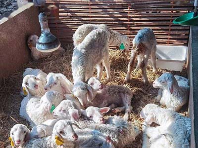 1680508820.jpg 未标题-1_0001_微信图片_20230403154230.jpg