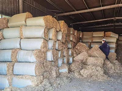 1680508897.jpg 未标题-1_0011_微信图片_20230403154252.jpg