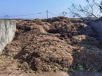 1680509143.jpg 未标题-1_0009_微信图片_20230403154302.jpg