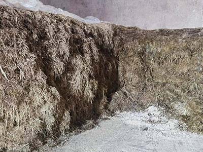 1680509155.jpg 未标题-1_0010_微信图片_20230403154256.jpg