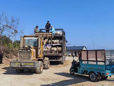 1680509182.jpg 未标题-1_0008_微信图片_20230403154308.jpg