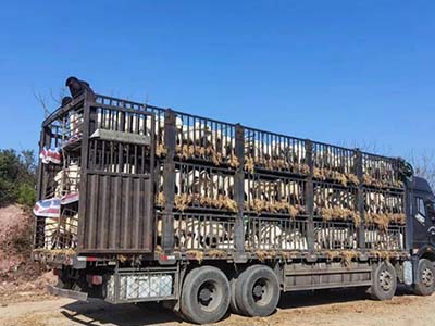 1680509204.jpg 未标题-1_0025_微信图片_20230403154345.jpg