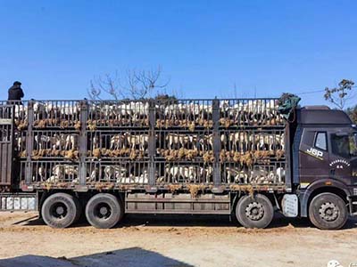 1680509222.jpg 未标题-1_0024_微信图片_20230403154349.jpg