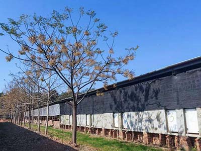 1680509301.jpg 未标题-1_0007_微信图片_20230403154318.jpg